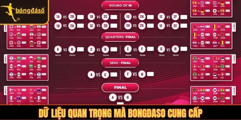 Dữ liệu quan trọng mà Bongdaso cung cấp